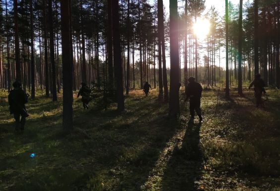 sotilaita liikumassa kuvaajasta poispäin metsässä, puiden takaa paistaa aurinko