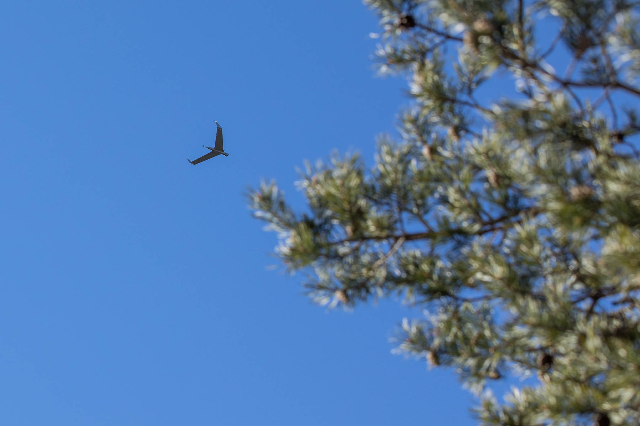 UAV plane gliding in the sky