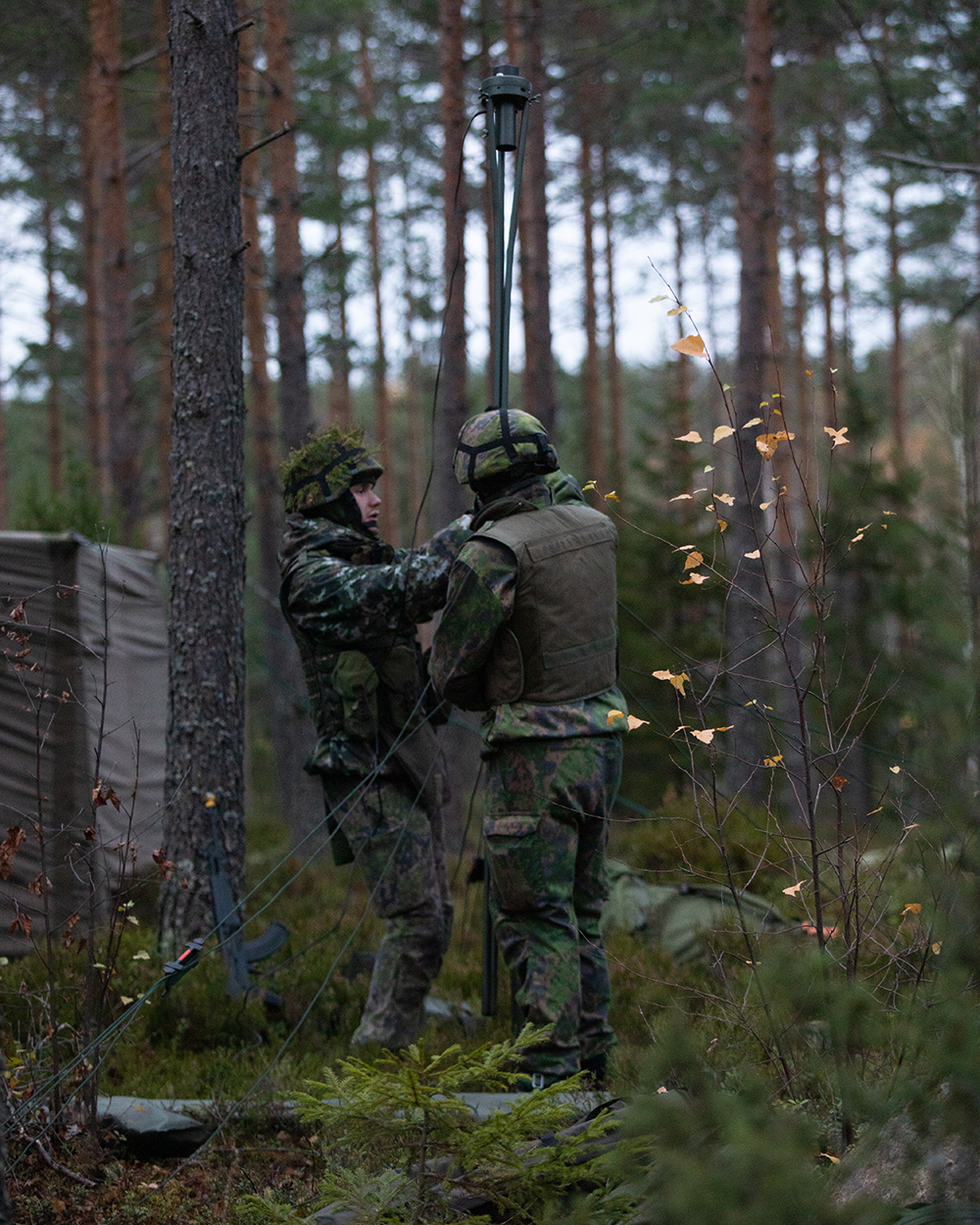 Kalusto liikkuu, naiset ja miehet liikkuu, ruoka tulee, ruoka lähtee -  Maavoimat