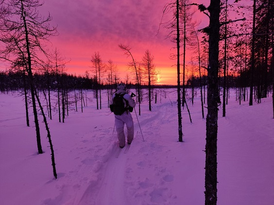 Aurinko on värjännyt kauniisti oranssilla ja punaisella hienon talvimaiseman, jossa lumipukuinen sotilas seisoo suksilla katsellen maisemaa.