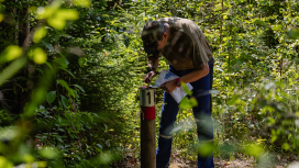 Finnish Military Orienteering Championships in Vekaranjärvi