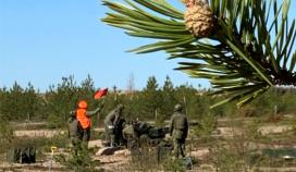 Ilmataisteluammunnat, ohjusilmatorjuntajärjestelmät ja laivatykistöammunnat