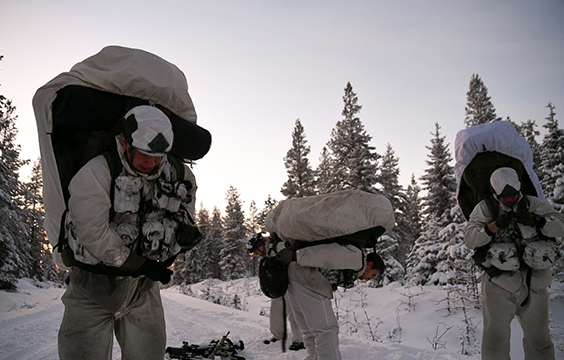 Suomen ja Ruotsin puolustusyhteistyö konkretisoituu harjoituksissa -  Maavoimat