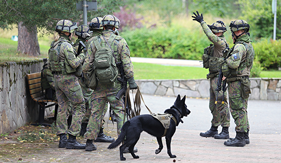 sotilaspoliisit ja koiranohjaaja taistelutauolla kaupunkikohteessa keskustelemassa ryhmänä.