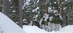 Sotilaat hiihtävät jonossa metsässä