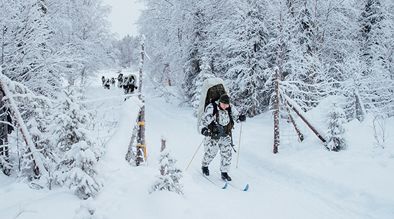 Soldiers ski in the woods