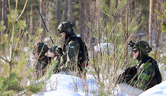 Ruotsin Livgardetin Ja Kaartin Jääkärirykmentin Kahdenvälinen Yhteistyö ...