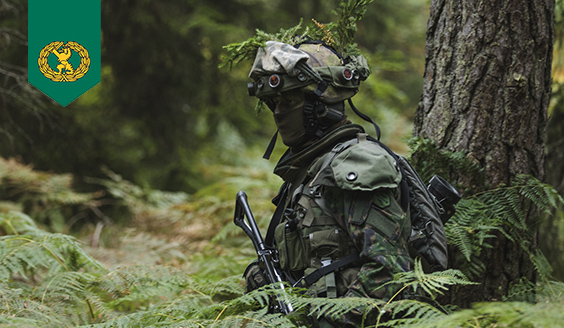 Kuvituskuva, jossa varusmies seisoo taisteluvarusteissa ja maastoutuneena kesäisessä metsässä.