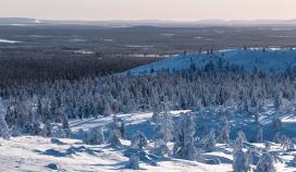 Keskitysmarssit Cold Response 2020 -harjoitukseen Norjaan