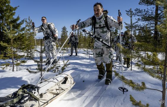 Inspection visit of the Commander of the French Land Forces in Sodankylä and his meeting with the Commander of the Finnish Army