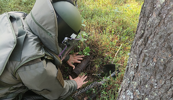 Bombröjare i skogen.