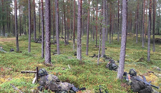 Sotilaita metsän suojassa