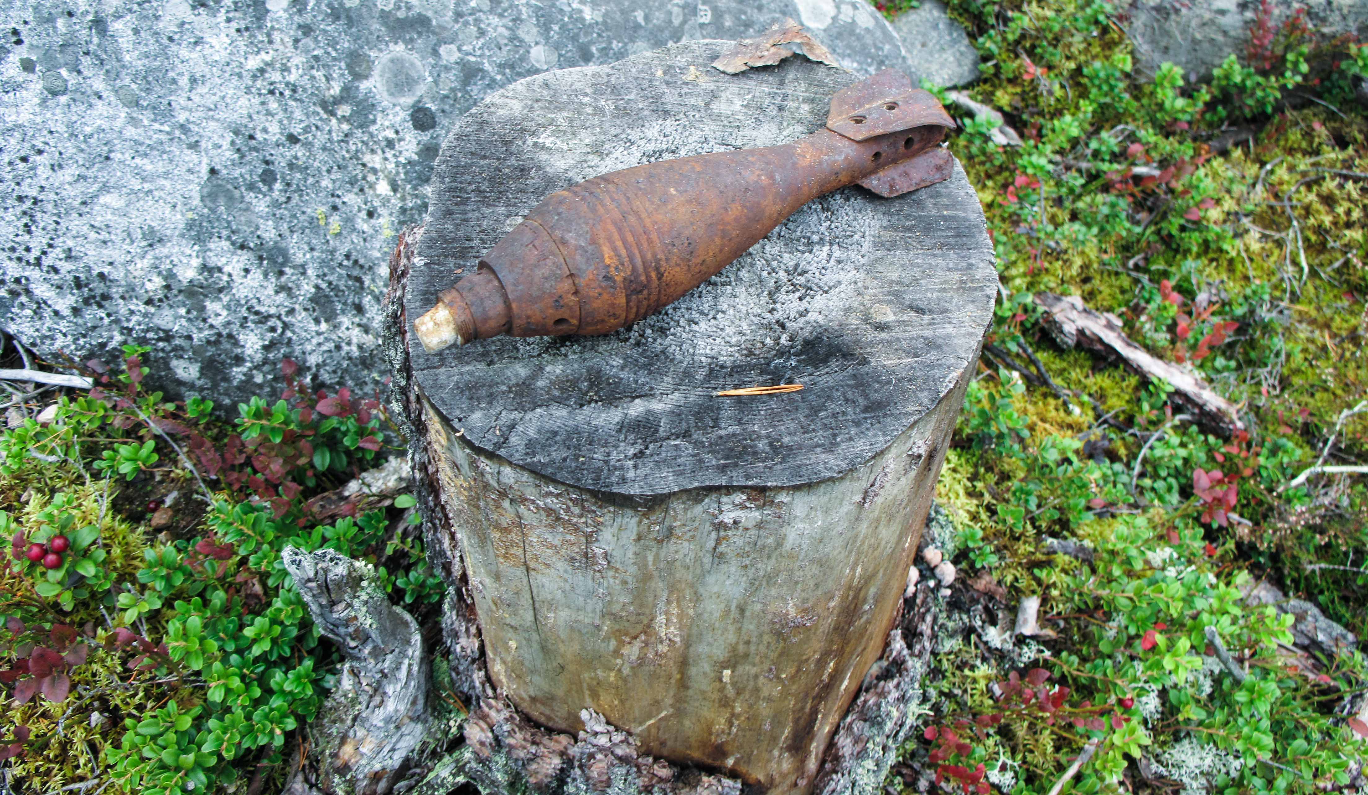 Puolustusvoimat harjoitukset 2018