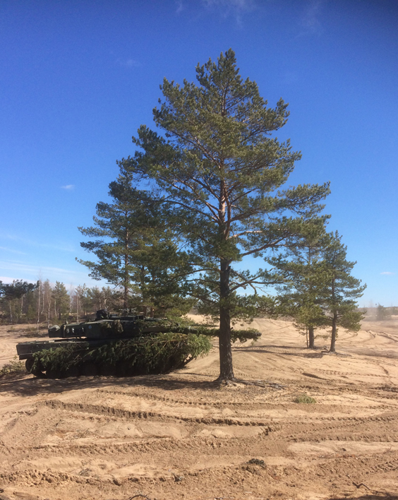 A camouflaged tank on a sand field at the base of a tree