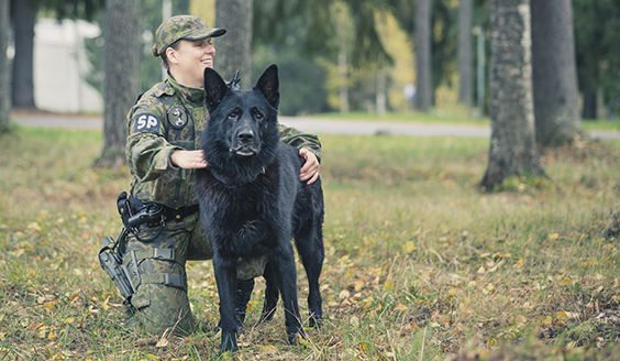 Sotakoiratoiminnan erikoisosaajasta Mikkelin vuoden aliupseeri