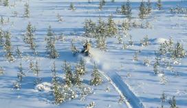 Winter Training Exercise of Utti Jaeger Regiment in Lapland