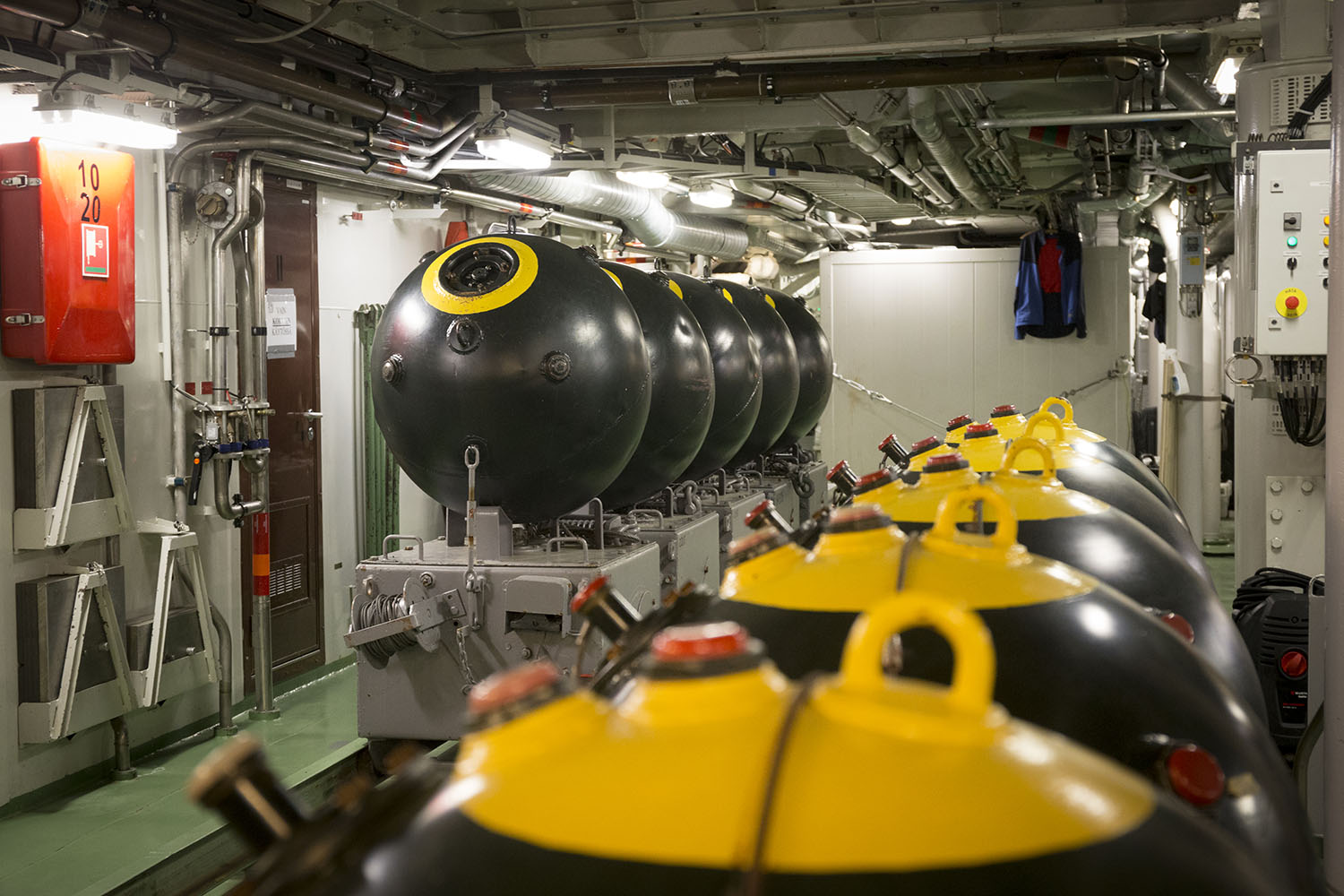 Pyöreitä merimiinoja rivissä