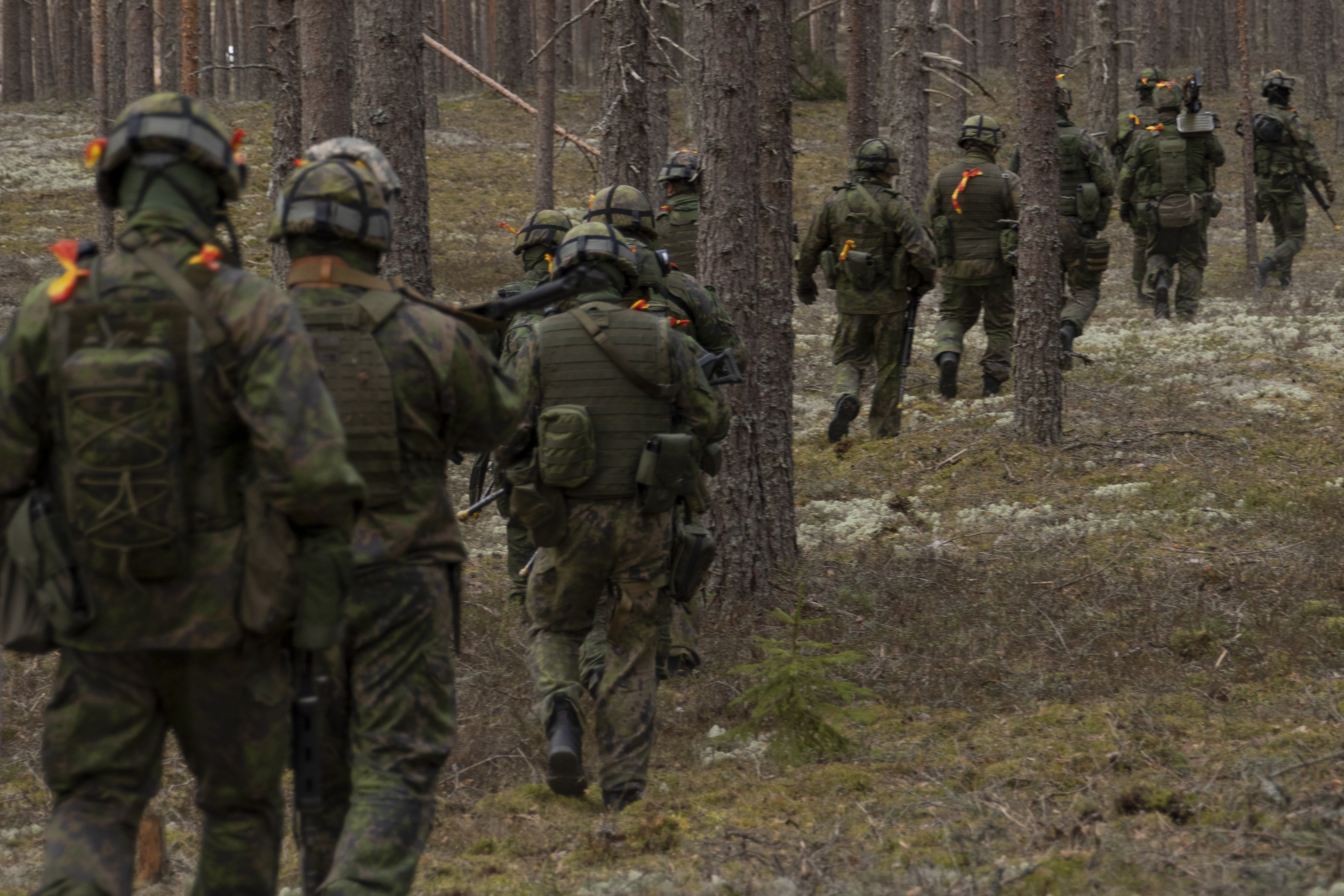 Kanta-Hämeen maakuntakomppanian reserviläiset ryhmittymässä maastoon.